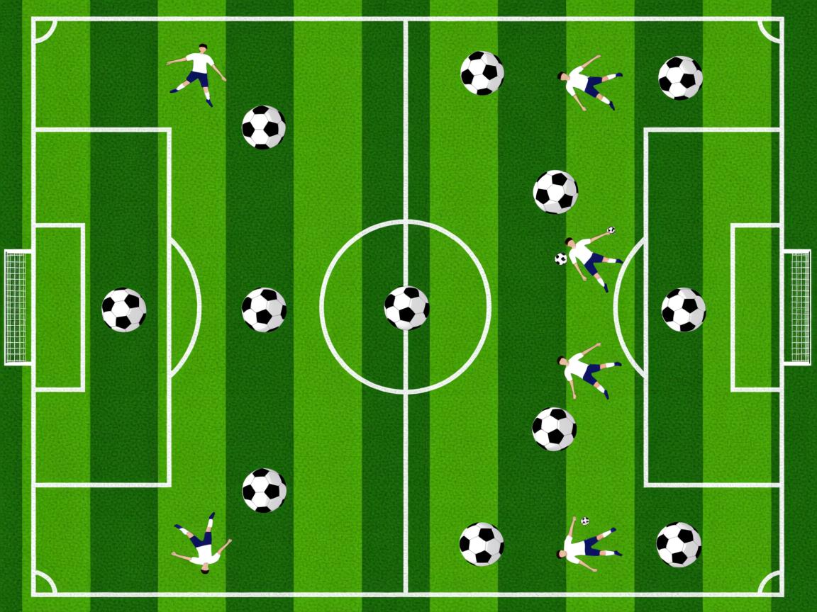 国际篮联高度评价中国男篮集训计划，中国男篮国家集训队